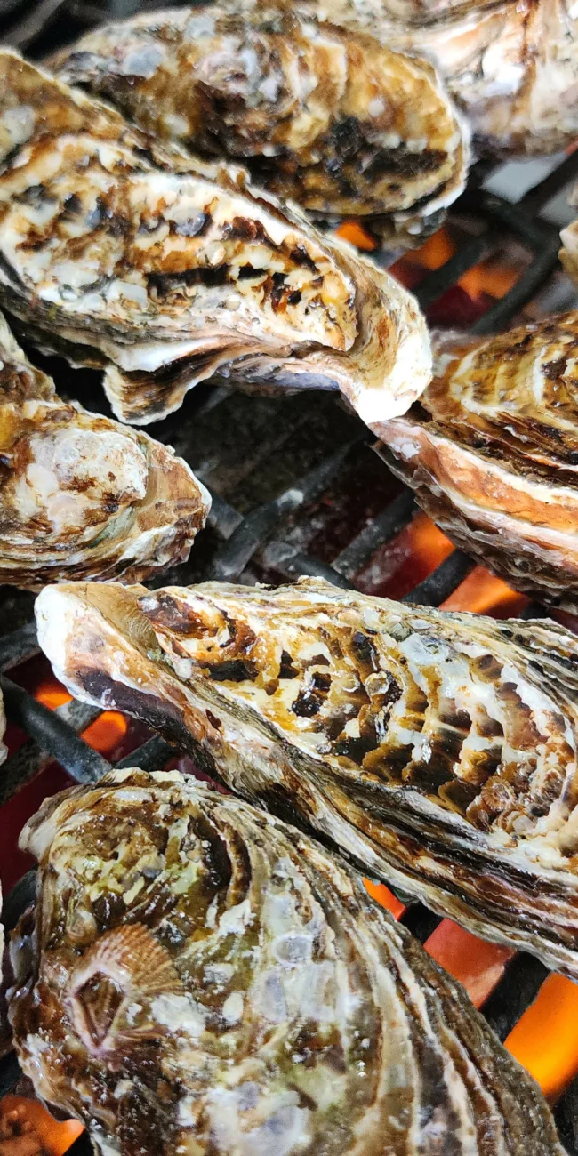 AdobeStock_1055564971