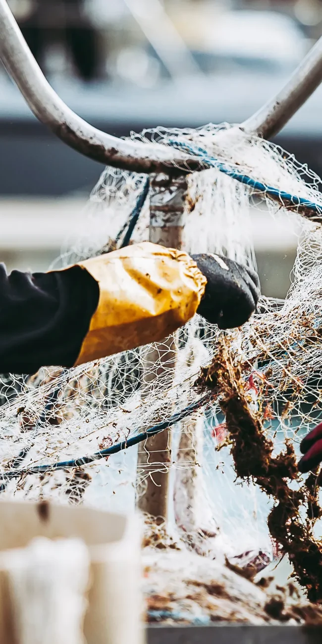 AdobeStock_181036040